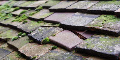 Mersea Island roof repair costs